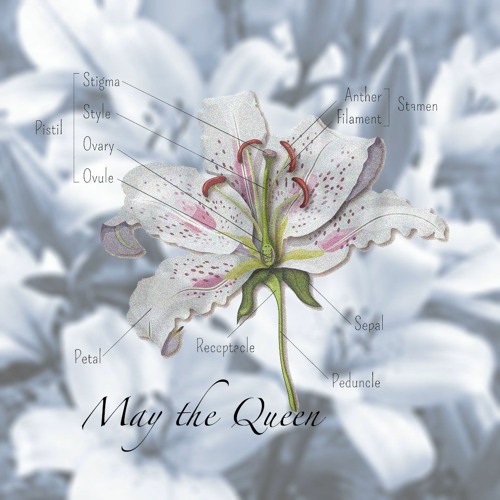 We're Gonna Sink Down