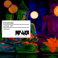 Steering - Future Not Set (Original Mix) [La Mishka] / Out Now