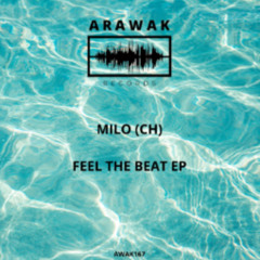 Milo(CH) - Feel The Beat (Audio3K MASTER)