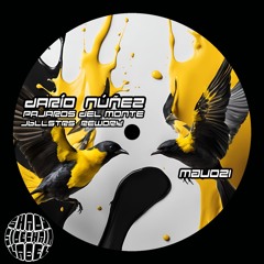 Darío Núñez - Pájaros Del Monte  (JBLLSTRS Rework) (MAU021) (Shady SideChain Label) FREE DL