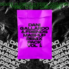 Dani Gallardo & Friends - Mashup Remix Pack Vol 1