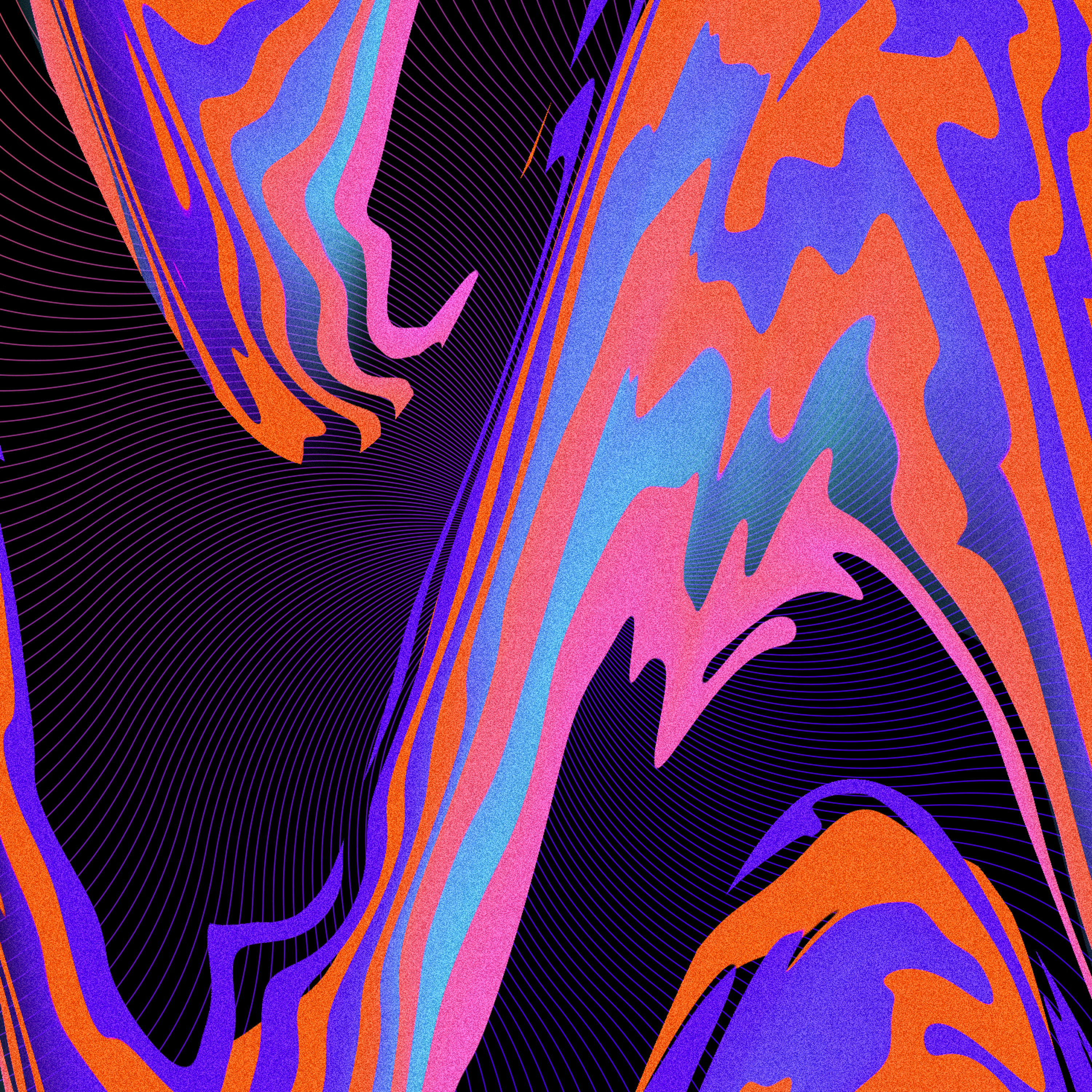 B L W R _