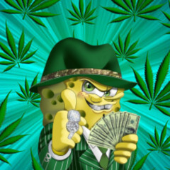 trapsy po trawce feat. Mr Sperm SWAG