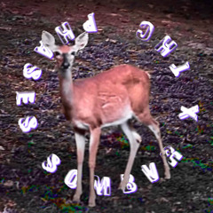 phases (feat. sombvr)