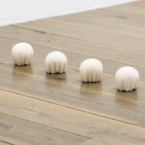 Springvossen 509 Ryan Christopher