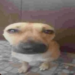 Prepare thyseld! 1! 1