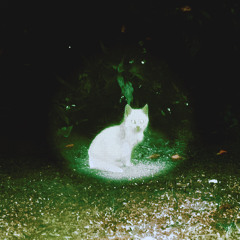 Possession Soft Spoken