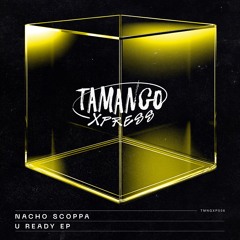 HouseHub Premiere: Nacho Scoppa - Wake Up! [TMNGXP006]