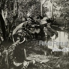 Reva fenua