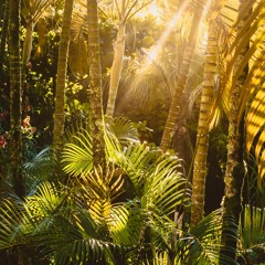In Search Of The Lost Tribe