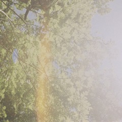 Autumn On Hermannstrasse