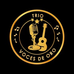 MIX DESPECHO - TRIO VOCES DE ORO FT TROY Y LOS REYES