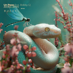 Lefris & AXON - Un Poco ft. Bobby G