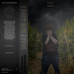 i dont give a fuck (album version)