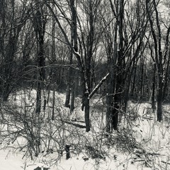 ChopSticks - XOXO x IVYY (Prod. 144yrsold)