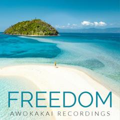 MR E - Freedom (Original Mix)