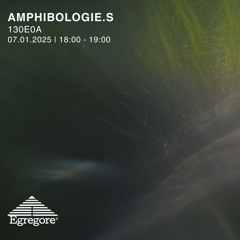 Amphibologie.s - 130E0A (Janvier 2025)