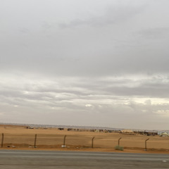 اشرفت راس الطويله.