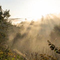 (528hz) THRIVE 146.wav