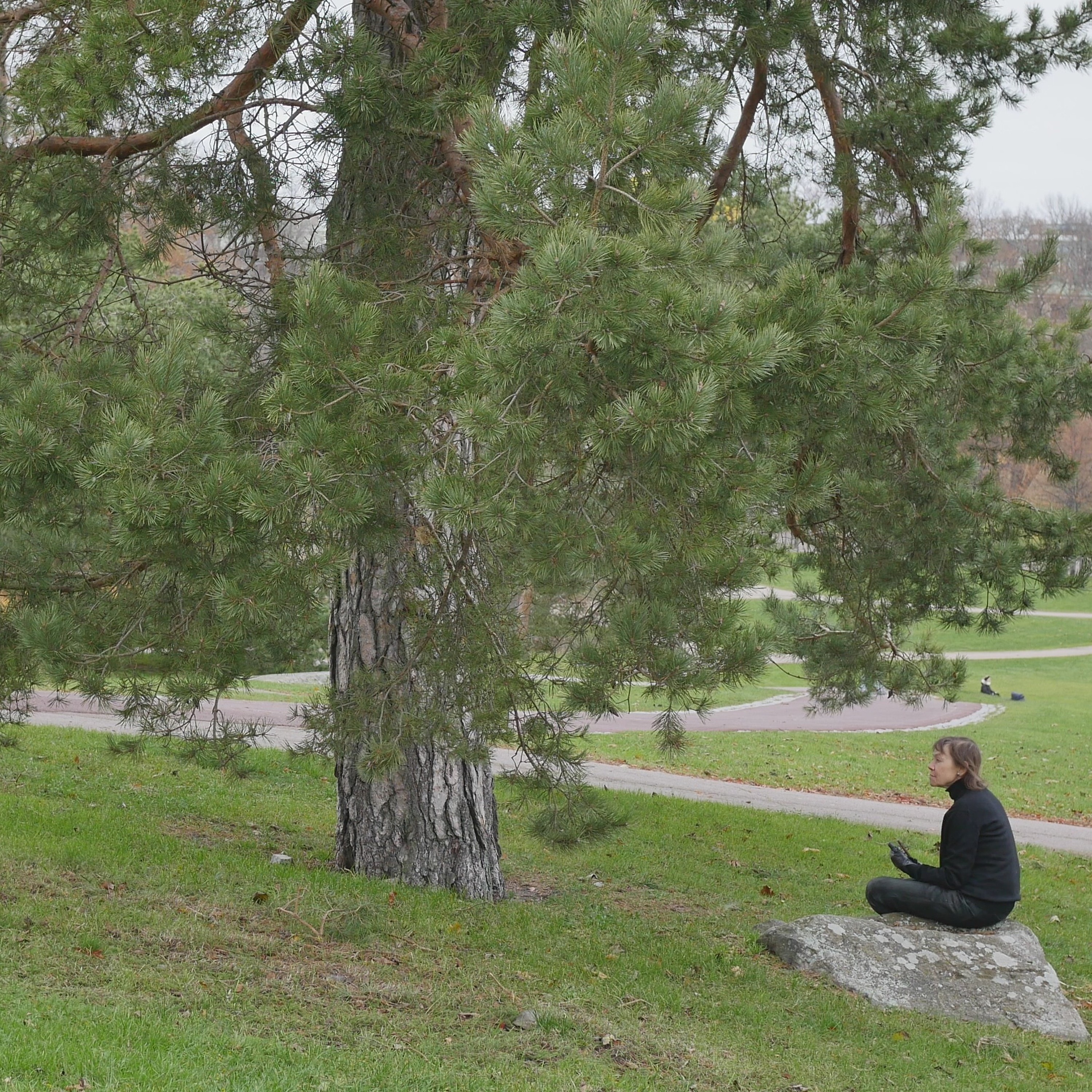 Pondering With A Pine In The Park - 19 episode artwork