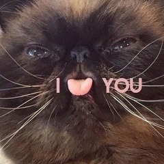 Yung Kage - Olivia Full Song Discord Improv Song Extended (Yung Kage Softwilly Song)