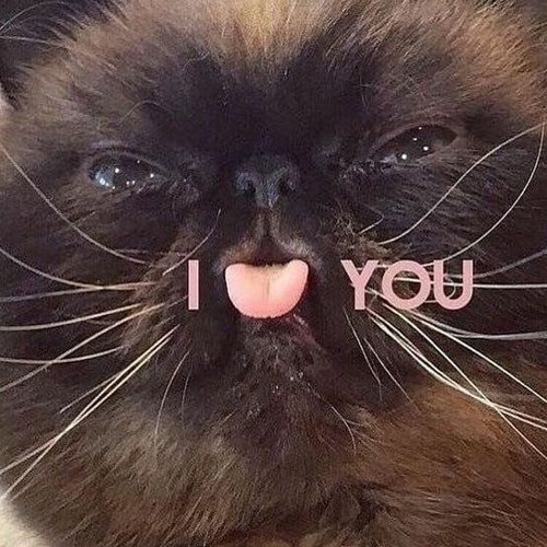 Yung Kage - Olivia Full Song Discord Improv Song Extended (Yung Kage Softwilly Song)