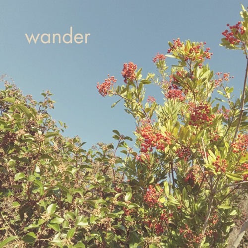 wander