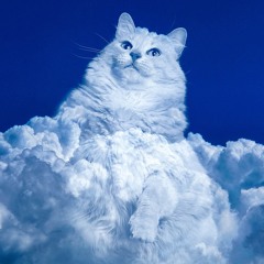 SLIPPY SKILLS - 'NUTTIN LONG' (Cat Cloud)