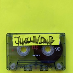 JUNGLE/DnB PT.1 (mixtape)