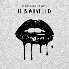 It Is What It Is (feat. ELEV8)