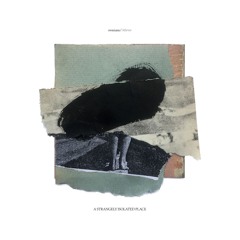 swanasa / Immersion