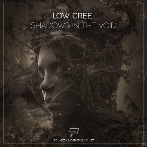 Shadows in the Void (Radio Edit) [Melodic Techno]