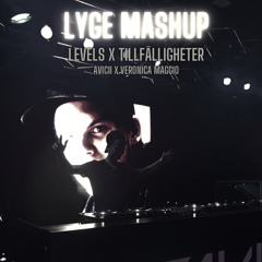 Avicii x Veronica Maggio - Levels x Tillfälligheter (Lyge Mashup)