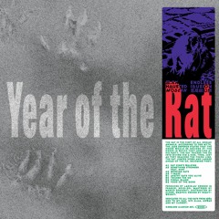 Exhausted Modern - Year of the Rat LP | [ENDILLP02]