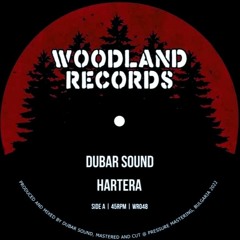 Dubar Sound - Hartera SAMPLE (Full track find on Woodland Records)