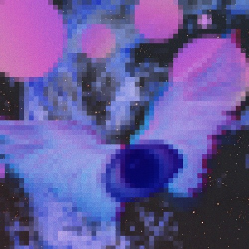 h o u s e   b e t s