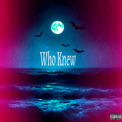 Who Knew (prod. Dazay x Aiza)