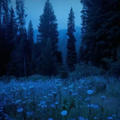 Better in the Dark - Slowed
