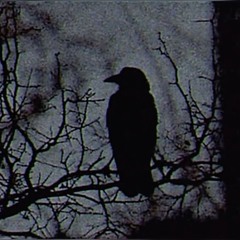 way2tired (aloa) #HSC