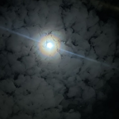 Mais Les Masquent Sont Tombés