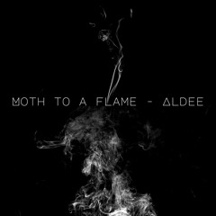 Moth to a Flame