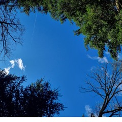Ljubljana, Koseze pond