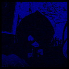 Schrodinger's Person