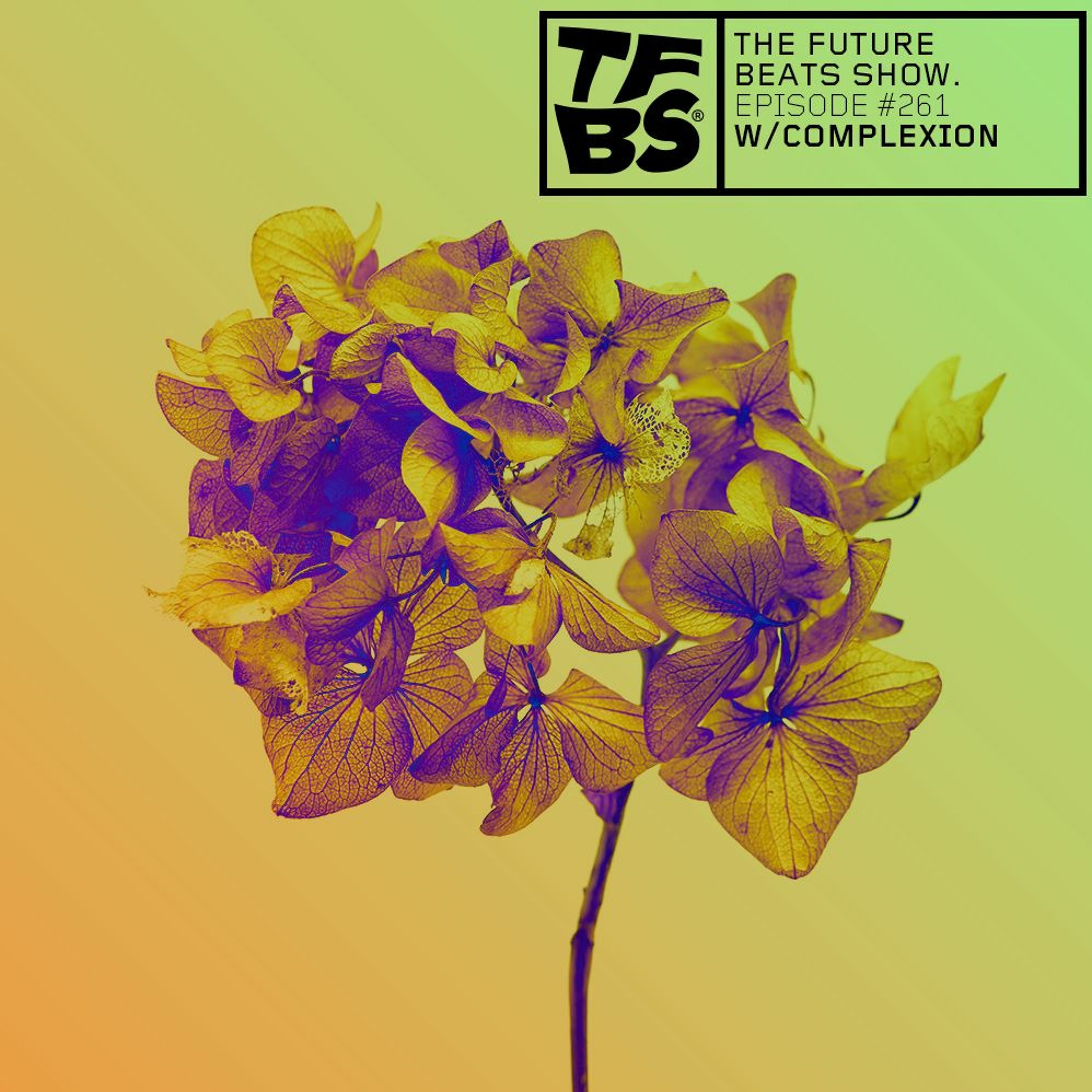 The Future Beats Show