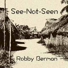 See-Not-Seen_Robby_Berman