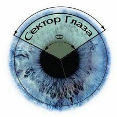 сектор глаза-рудан