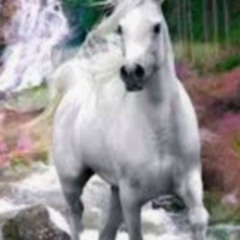 White Horse