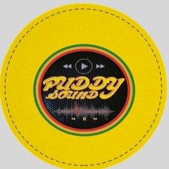 Kingz Rise Puddy Sound DubPlate vol.2