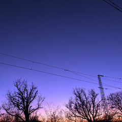 Wonder
