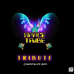 Space Tribe Tribute By Acid Spirit